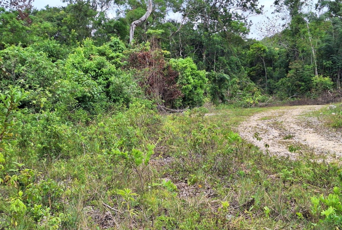 Tenth image of 22- Sligoville Main Road in Sligoville, St. Catherine, Jamaica - property is For Sale