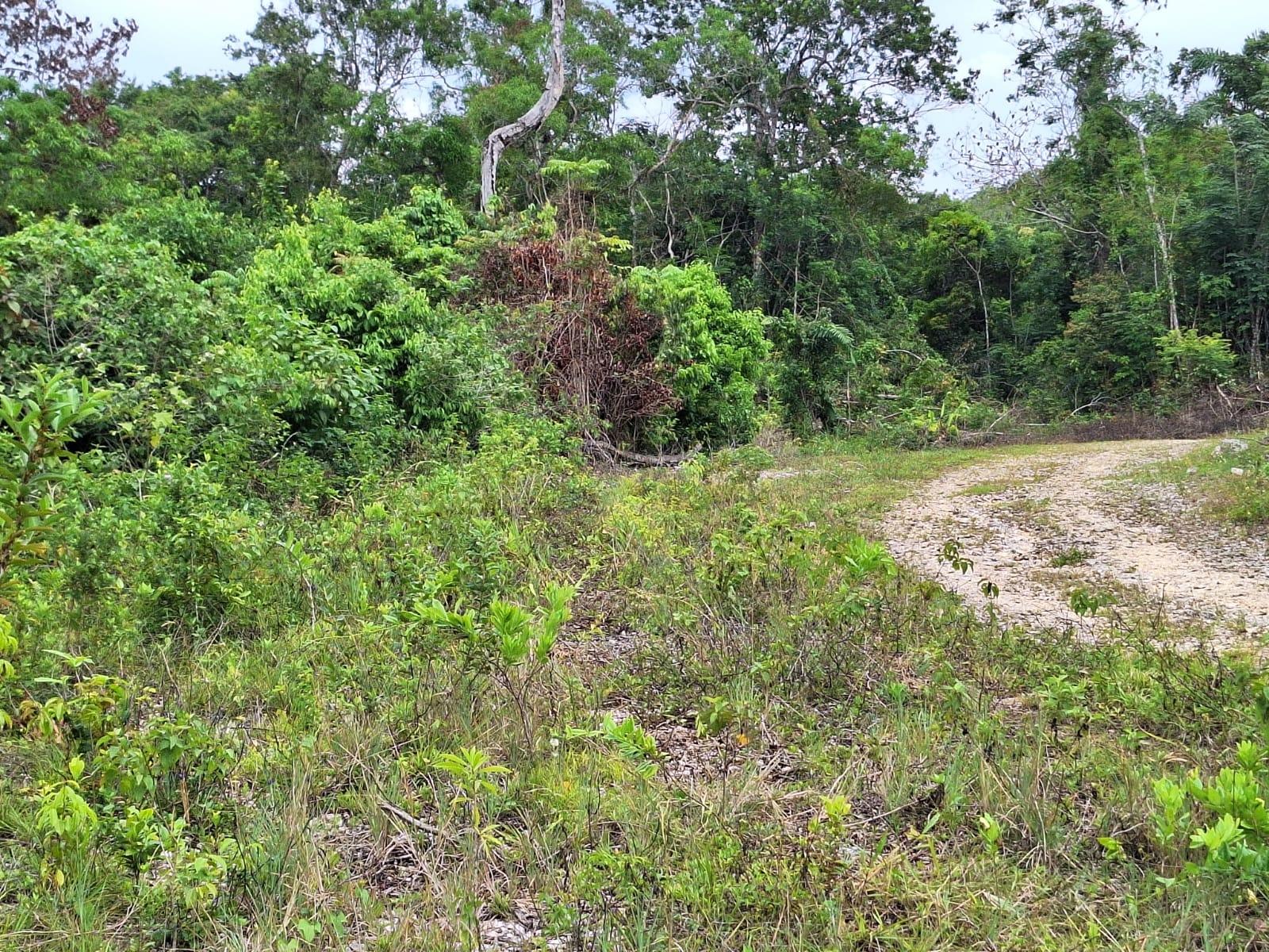 Tenth image of 22- Sligoville Main Road in Sligoville, St. Catherine, Jamaica - property is For Sale