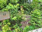 First image of 22- Sligoville Main Road in Sligoville, St. Catherine, Jamaica - property is For Sale