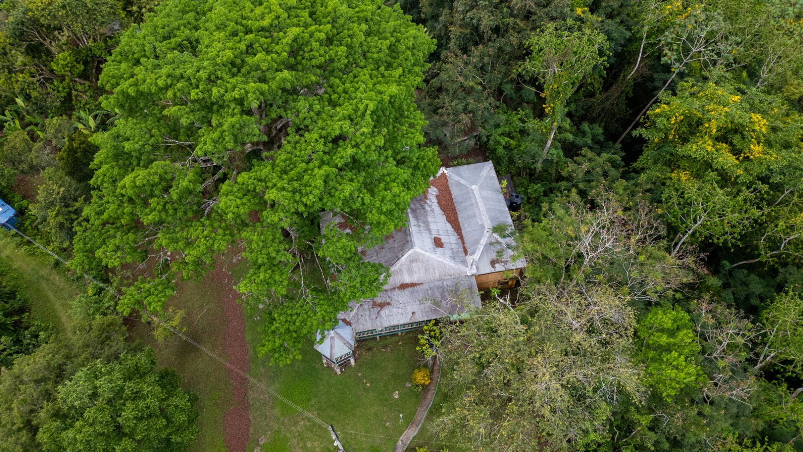 Third image of St. Leonards, Westmorelan in Lambs River, Westmoreland, Jamaica - property is For Sale