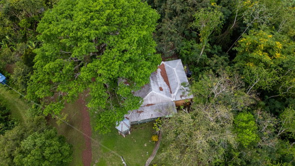 Third image of St. Leonards, Westmorelan in Lambs River, Westmoreland, Jamaica - property is For Sale