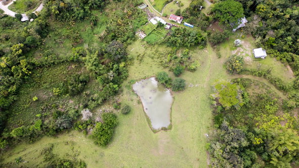 Fourth image of St. Leonards, Westmorelan in Lambs River, Westmoreland, Jamaica - property is For Sale