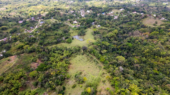 Seventh image of St. Leonards, Westmorelan in Lambs River, Westmoreland, Jamaica - property is For Sale
