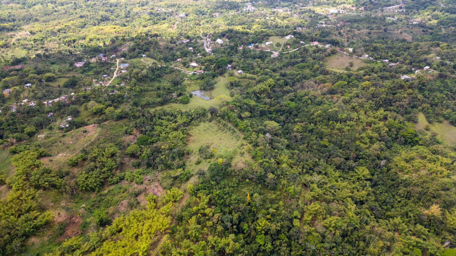 Eighth image of St. Leonards, Westmorelan in Lambs River, Westmoreland, Jamaica - property is For Sale