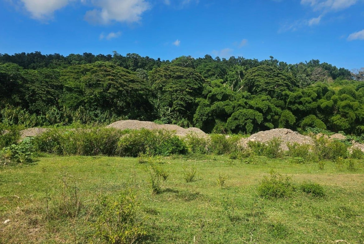 Eighth image of North Hall in Suttons, Clarendon, Jamaica - property is For Sale