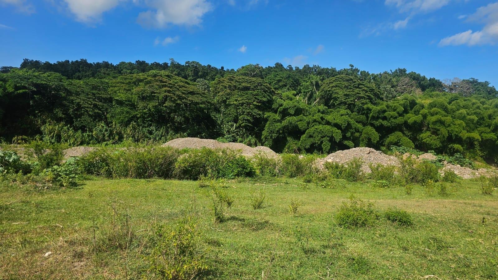 Eighth image of North Hall in Suttons, Clarendon, Jamaica - property is For Sale