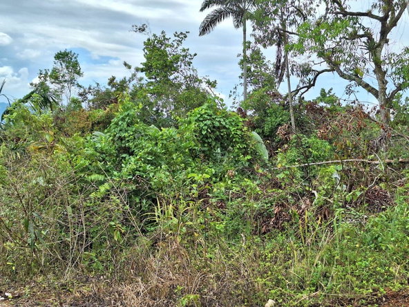 Second image of 23- Sligoville Main Road in Sligoville, St. Catherine, Jamaica - property is For Sale