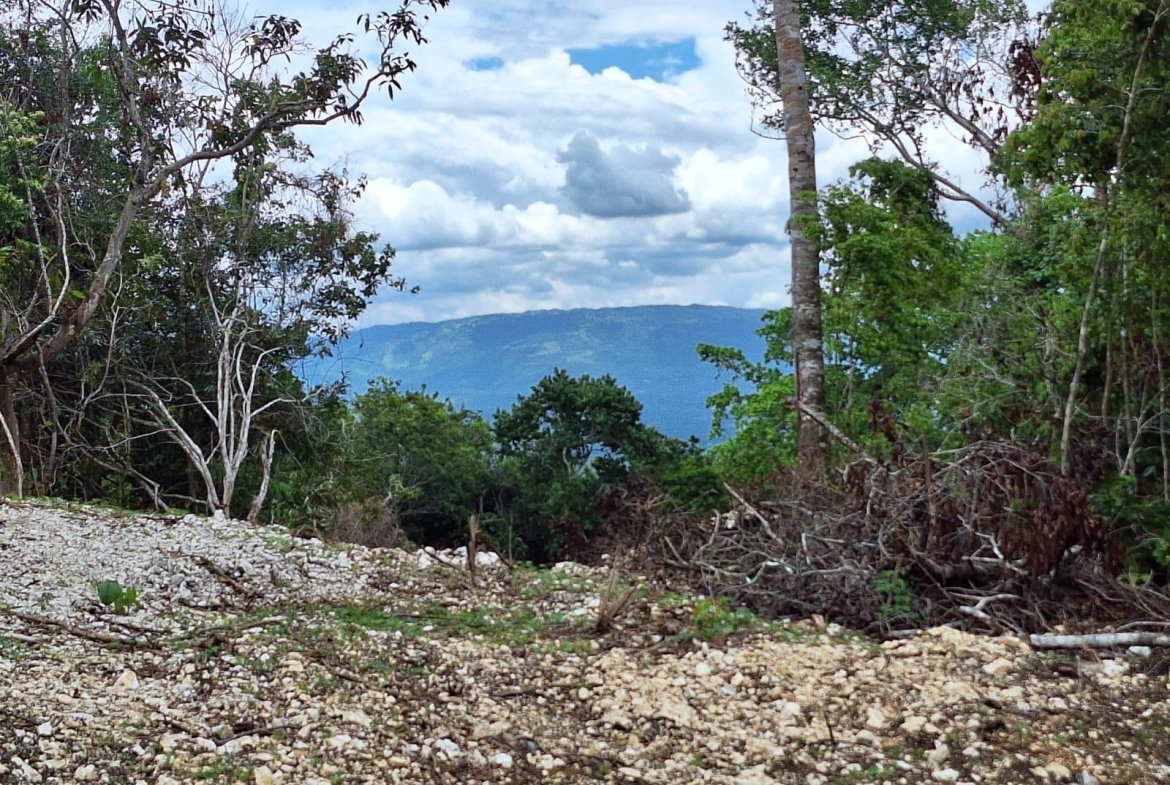 Third image of 20- Sligoville in Sligoville, St. Catherine, Jamaica - property is For Sale