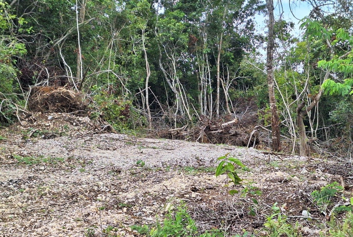 Fourth image of 20- Sligoville in Sligoville, St. Catherine, Jamaica - property is For Sale