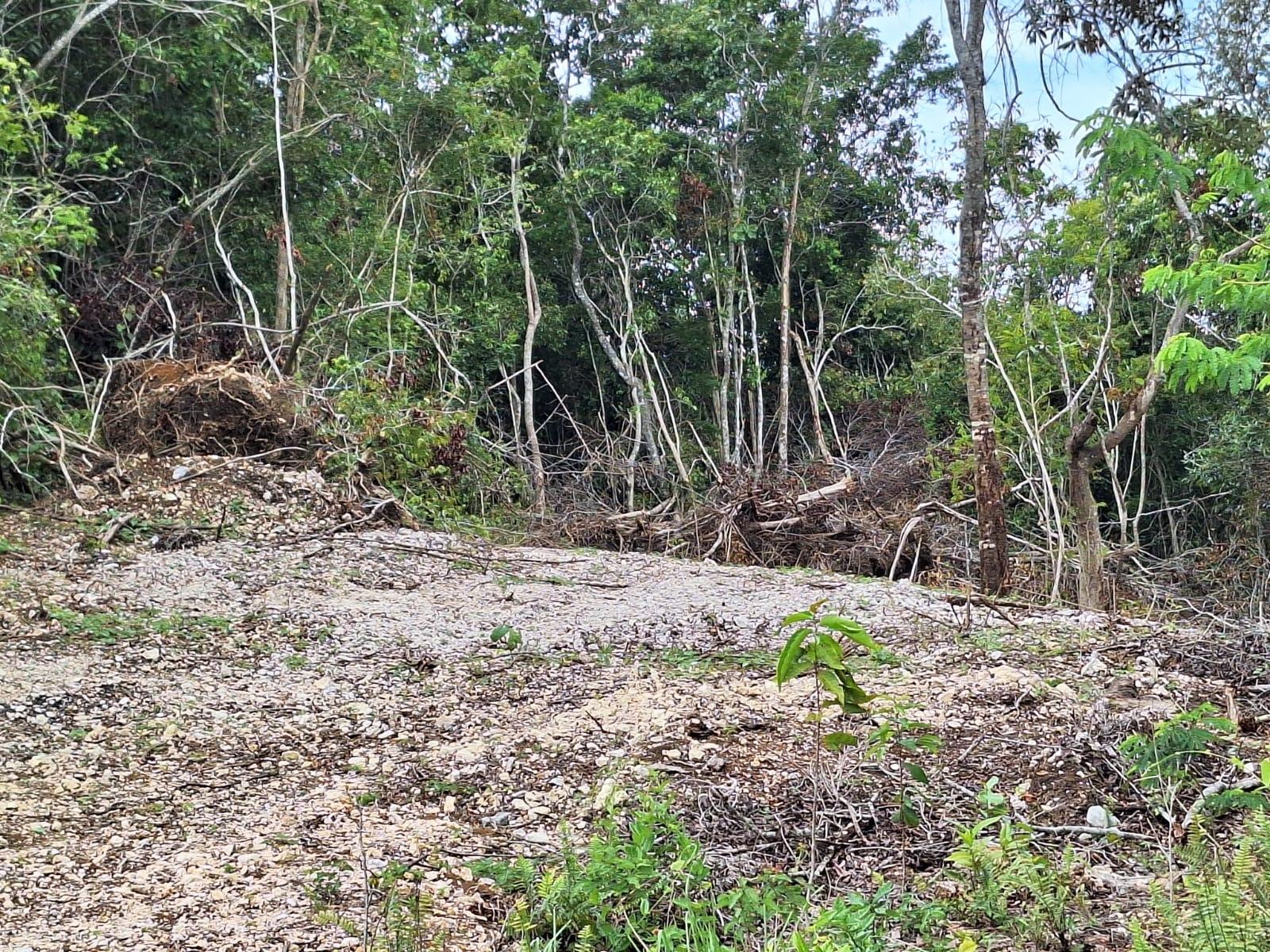 Fourth image of 20- Sligoville in Sligoville, St. Catherine, Jamaica - property is For Sale