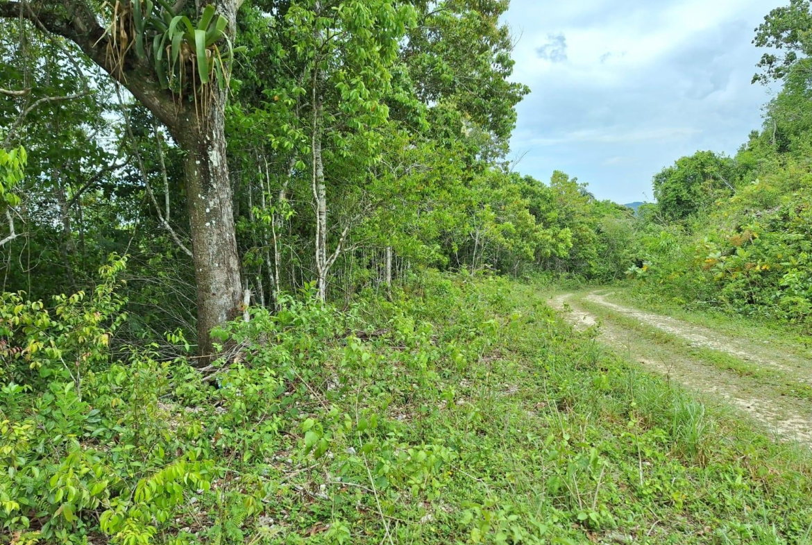 Fifth image of 20- Sligoville in Sligoville, St. Catherine, Jamaica - property is For Sale