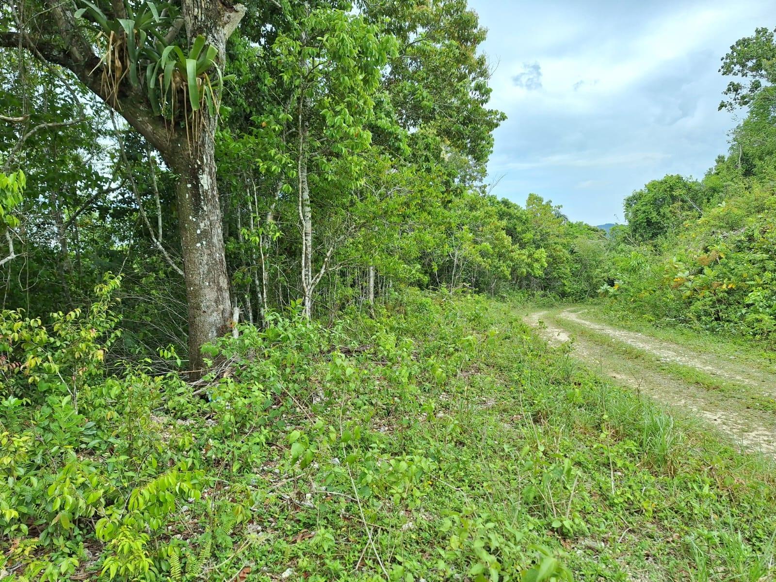 Fifth image of 20- Sligoville in Sligoville, St. Catherine, Jamaica - property is For Sale