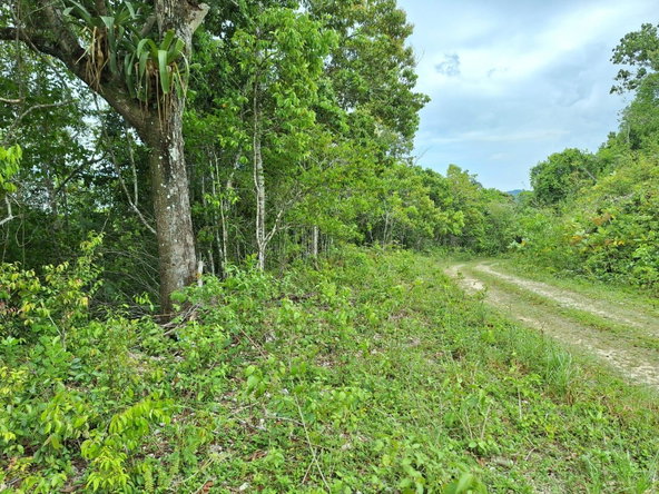 Fifth image of 20- Sligoville in Sligoville, St. Catherine, Jamaica - property is For Sale