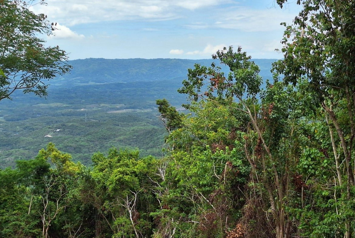 Seventh image of 20- Sligoville in Sligoville, St. Catherine, Jamaica - property is For Sale