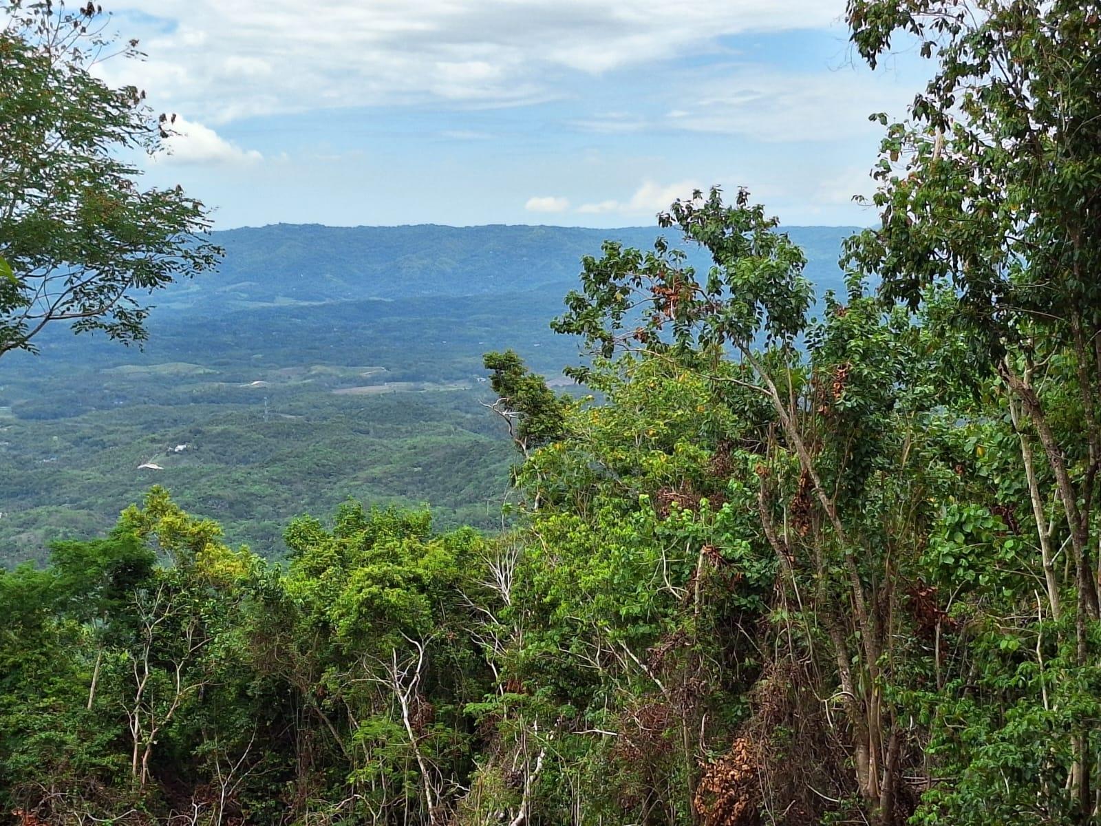 Seventh image of 20- Sligoville in Sligoville, St. Catherine, Jamaica - property is For Sale