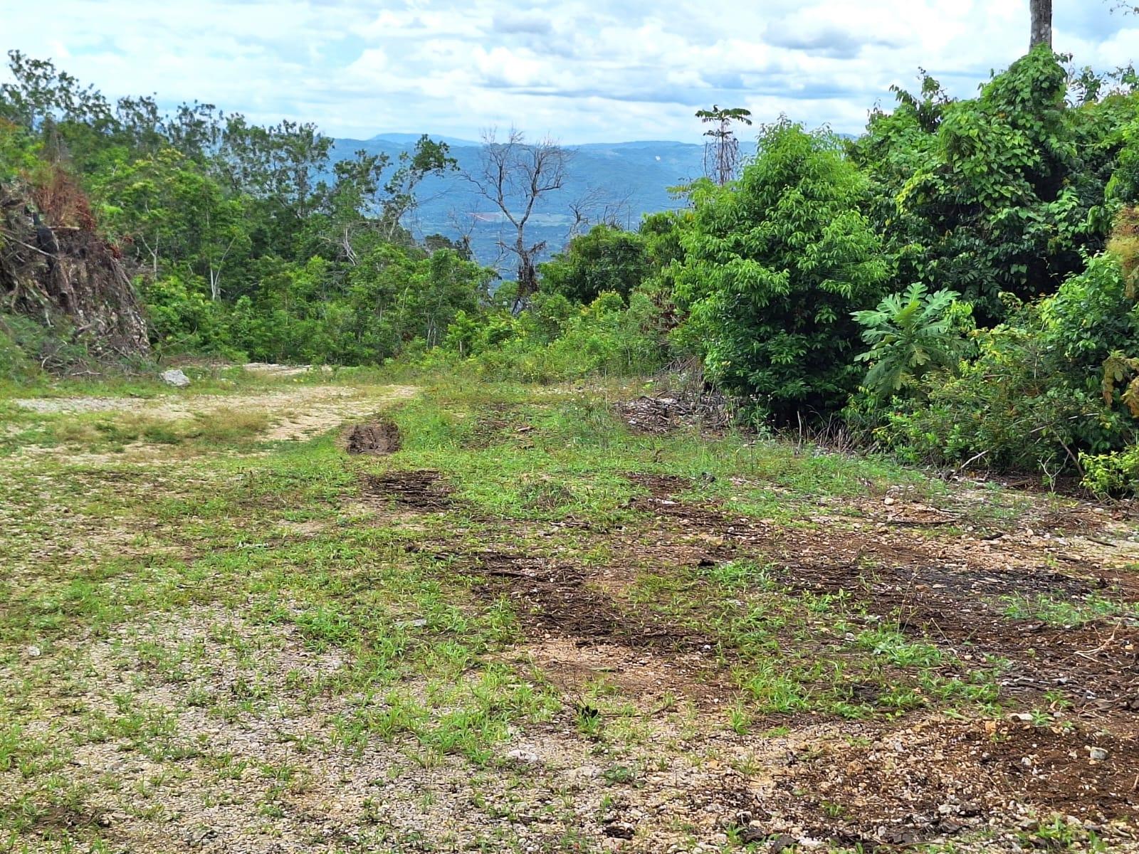 Fourth image of 23- Sligoville Main Road in Sligoville, St. Catherine, Jamaica - property is For Sale