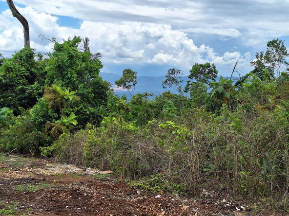 Fifth image of 23- Sligoville Main Road in Sligoville, St. Catherine, Jamaica - property is For Sale