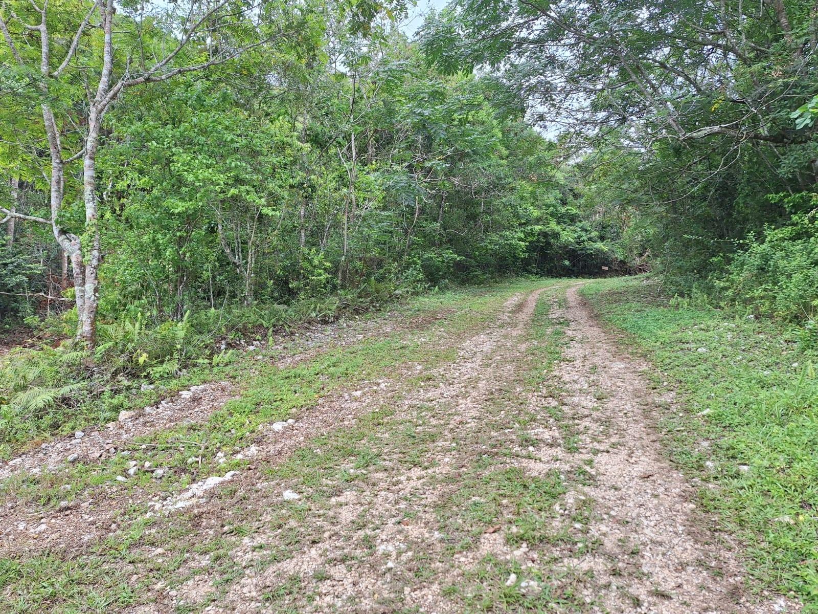 Sixth image of 23- Sligoville Main Road in Sligoville, St. Catherine, Jamaica - property is For Sale