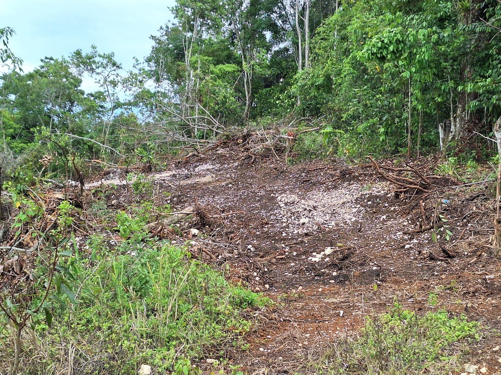 Seventh image of 23- Sligoville Main Road in Sligoville, St. Catherine, Jamaica - property is For Sale