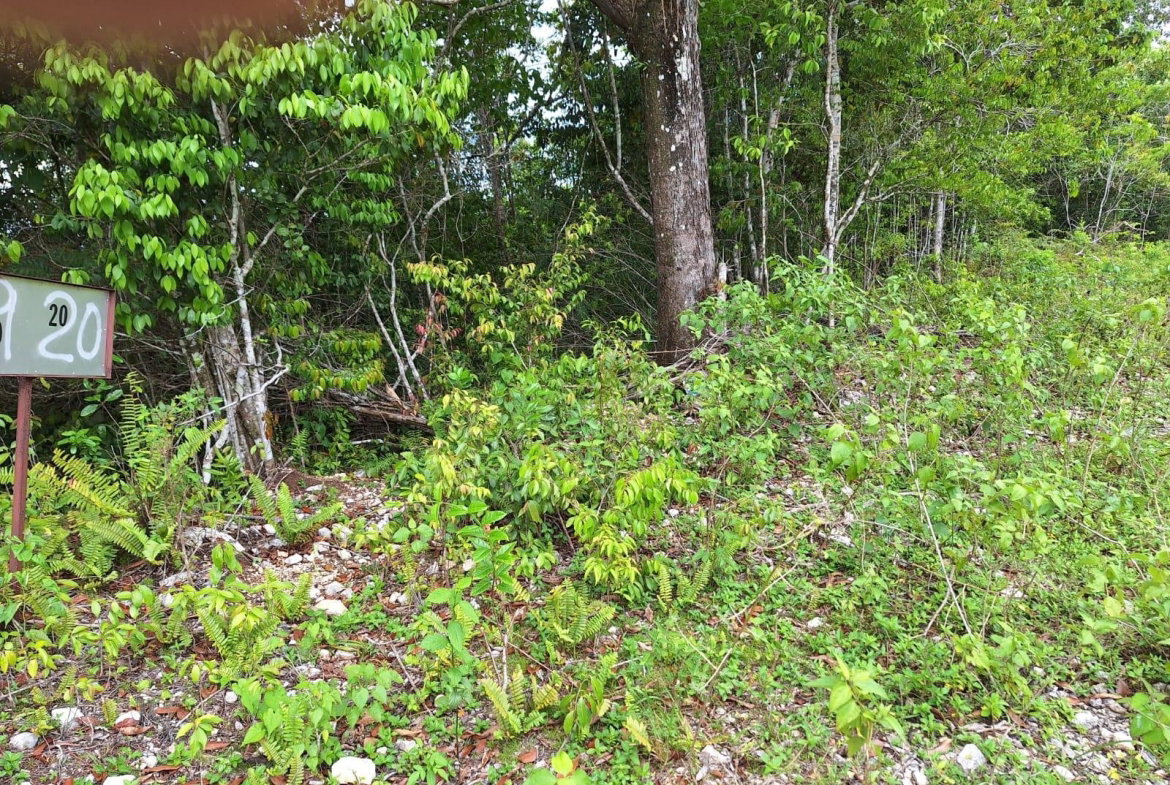 First image of 20- Sligoville in Sligoville, St. Catherine, Jamaica - property is For Sale