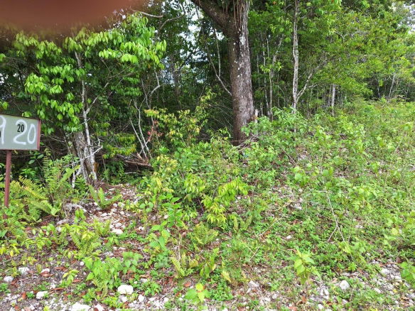 First image of 20- Sligoville in Sligoville, St. Catherine, Jamaica - property is For Sale