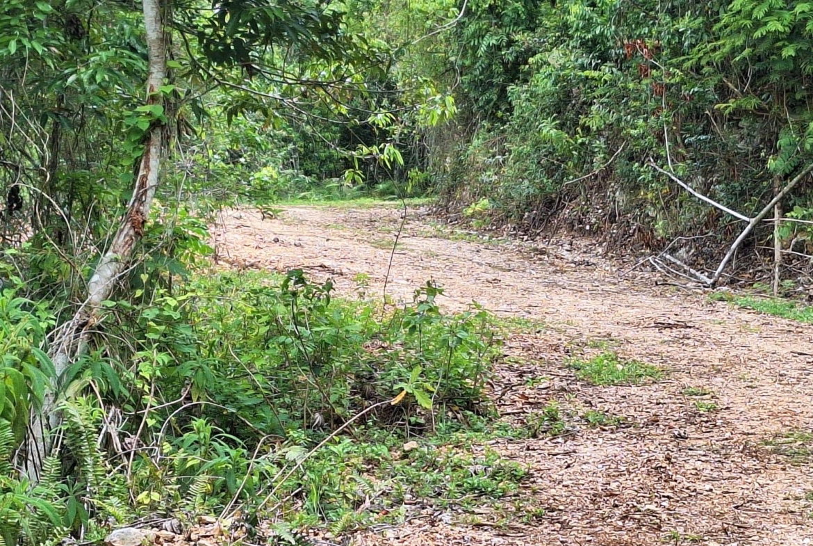 Second image of 14- Sligoville Main Road in Sligoville, St. Catherine, Jamaica - property is For Sale