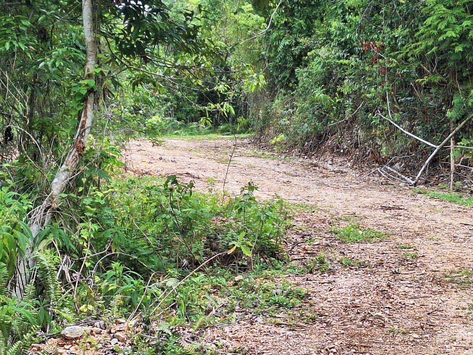 Second image of 14- Sligoville Main Road in Sligoville, St. Catherine, Jamaica - property is For Sale