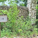 First image of 14- Sligoville Main Road in Sligoville, St. Catherine, Jamaica - property is For Sale