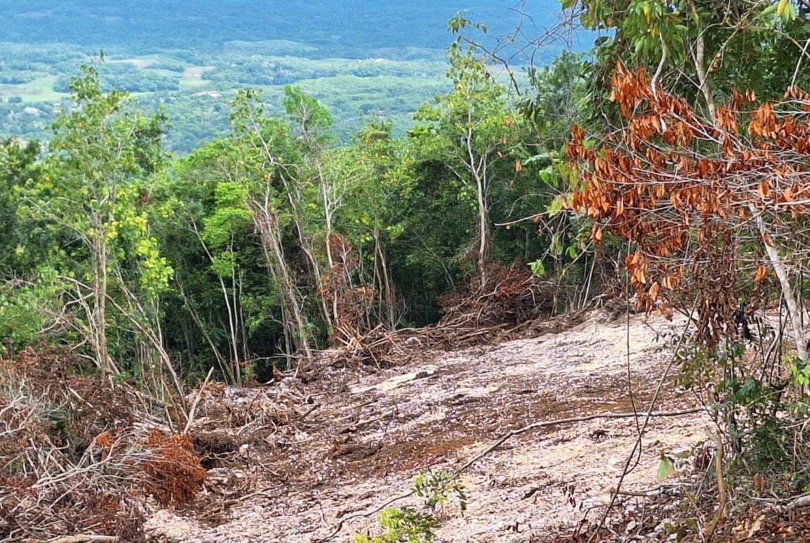 Third image of 14- Sligoville Main Road in Sligoville, St. Catherine, Jamaica - property is For Sale