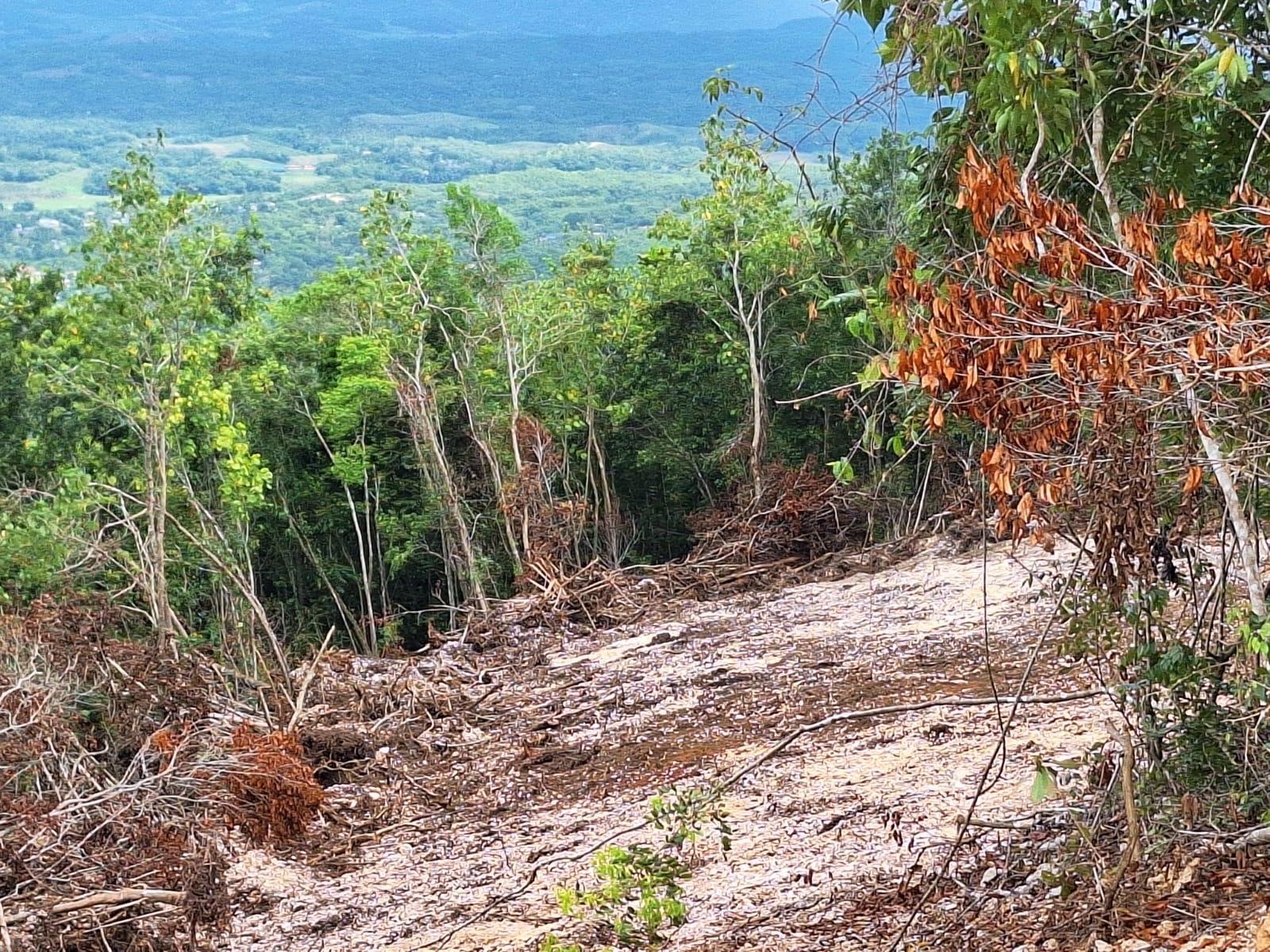 Third image of 14- Sligoville Main Road in Sligoville, St. Catherine, Jamaica - property is For Sale