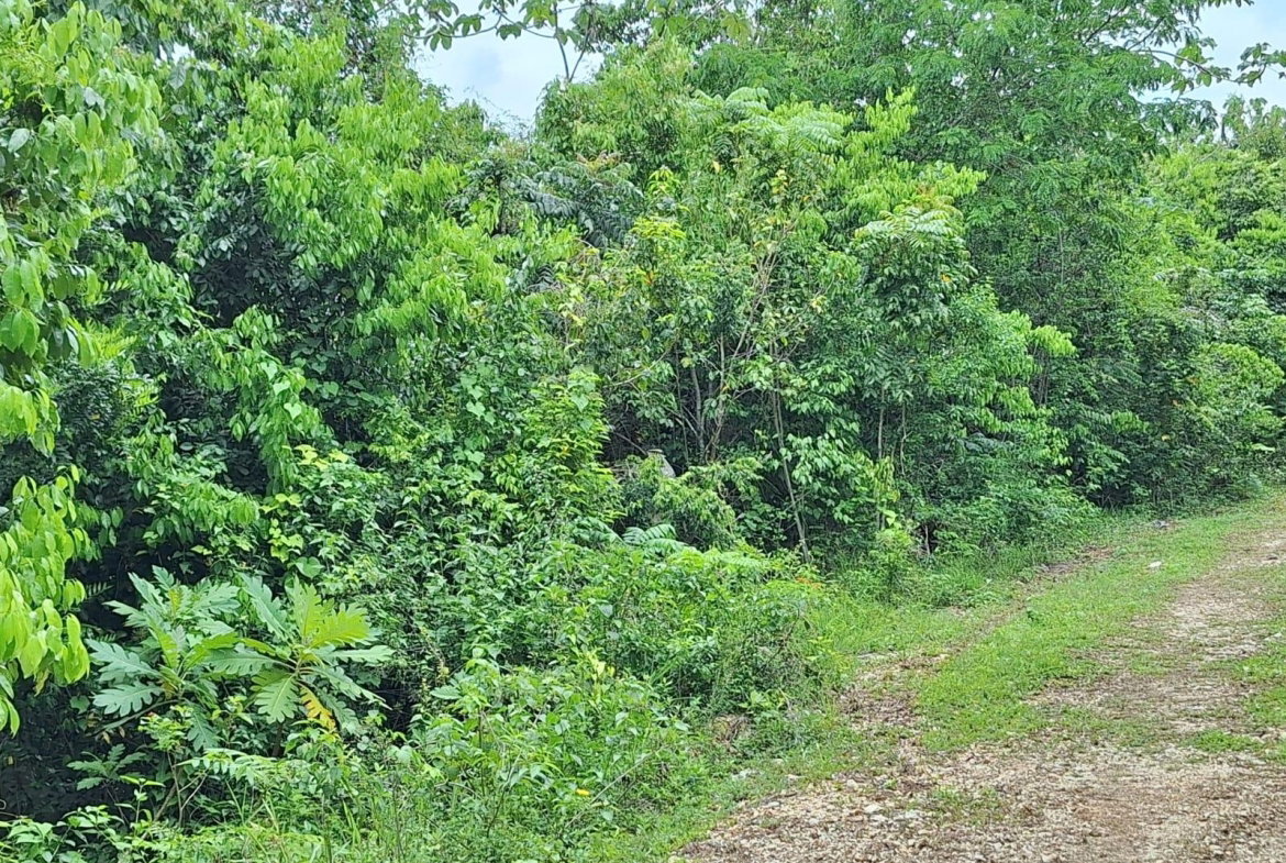 Fifth image of 14- Sligoville Main Road in Sligoville, St. Catherine, Jamaica - property is For Sale