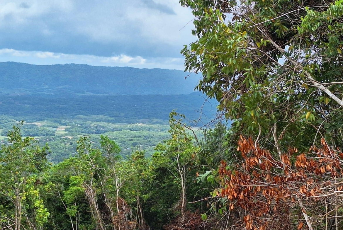 Second image of Sligoville Main Road in Sligoville, St. Catherine, Jamaica - property is For Sale