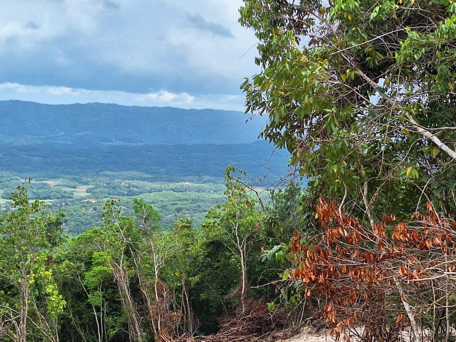 19-Acre-Scenic-Property-for-Sale-in-Sligoville-St.-Catherine-Jamaica Second image of Sligoville Main Road in Sligoville, St. Catherine, Jamaica - property is For Sale