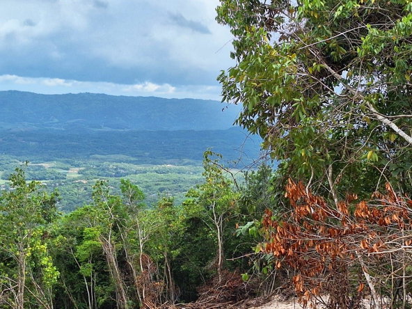 Second image of Sligoville Main Road in Sligoville, St. Catherine, Jamaica - property is For Sale
