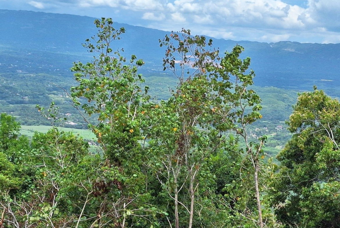 First image of Sligoville Main Road in Sligoville, St. Catherine, Jamaica - property is For Sale