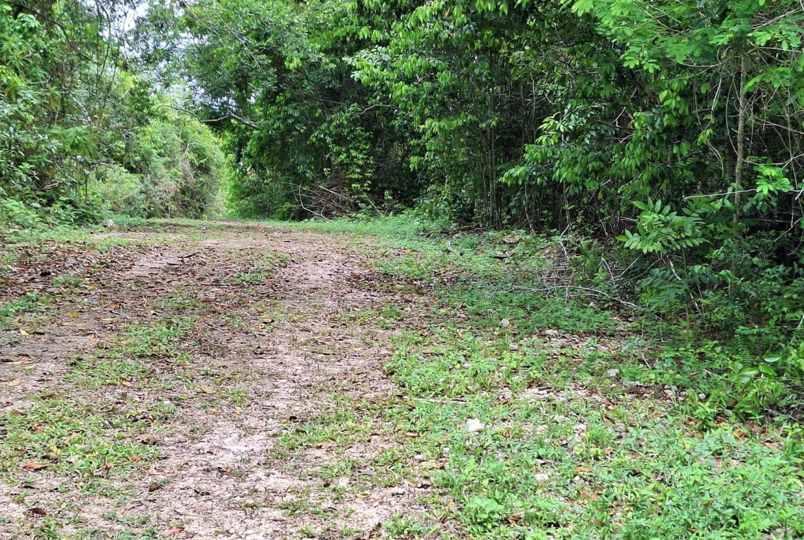 Seventh image of Sligoville Main Road in Sligoville, St. Catherine, Jamaica - property is For Sale