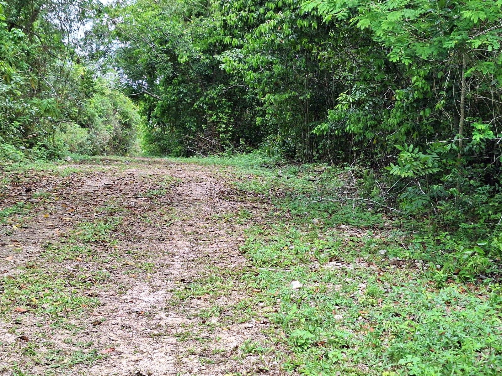 19-Acre-Scenic-Property-for-Sale-in-Sligoville-St.-Catherine-Jamaica Seventh image of Sligoville Main Road in Sligoville, St. Catherine, Jamaica - property is For Sale
