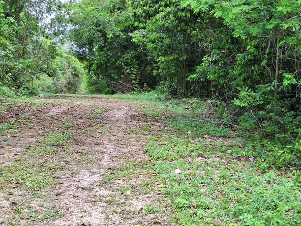 Seventh image of Sligoville Main Road in Sligoville, St. Catherine, Jamaica - property is For Sale