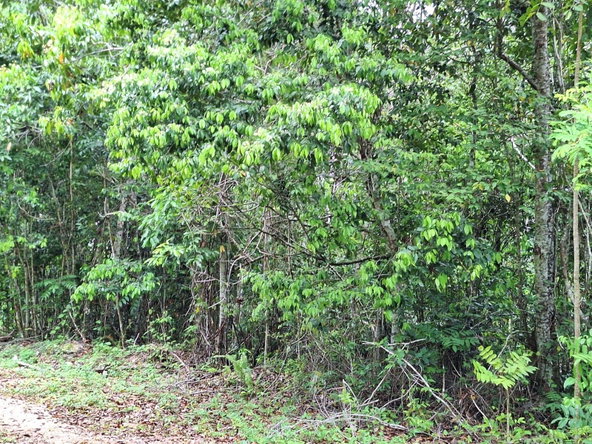 Eighth image of Sligoville Main Road in Sligoville, St. Catherine, Jamaica - property is For Sale