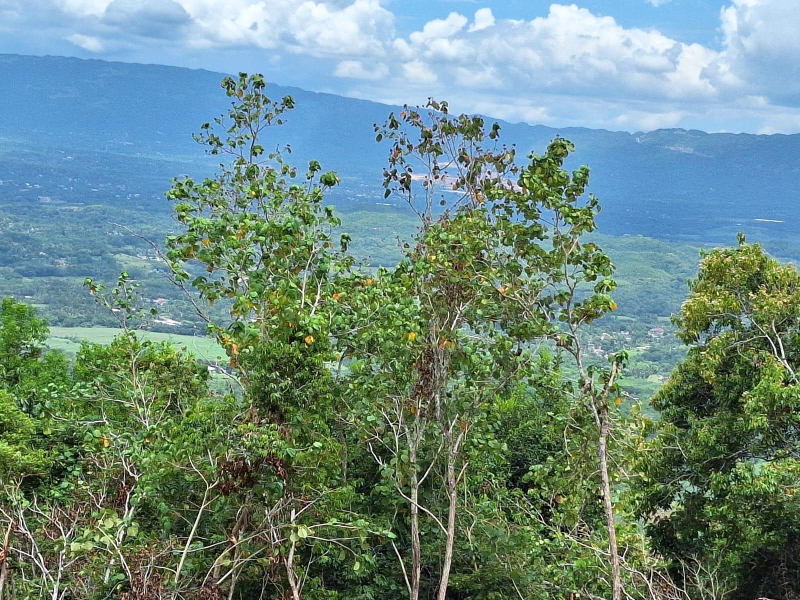 19-Acre-Scenic-Property-for-Sale-in-Sligoville-St.-Catherine-Jamaica First image of Sligoville Main Road in Sligoville, St. Catherine, Jamaica - property is For Sale