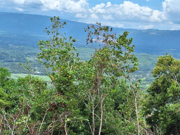 First image of Sligoville Main Road in Sligoville, St. Catherine, Jamaica - property is For Sale