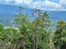 First image of Sligoville Main Road in Sligoville, St. Catherine, Jamaica - property is For Sale