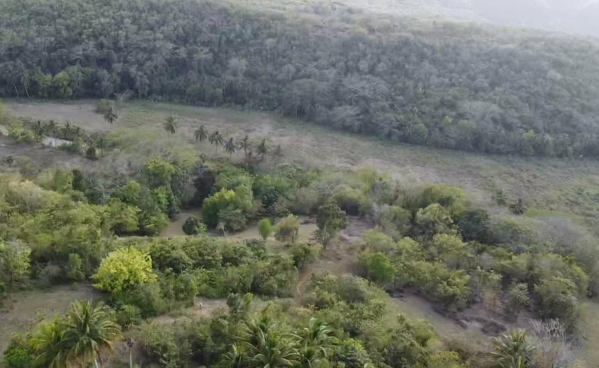Twelfth image of Rock River,retreat,claren in Rock River, Clarendon, Jamaica - property is For Sale