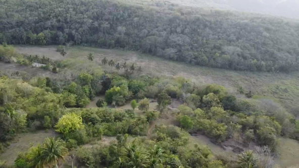 Twelfth image of Rock River,retreat,claren in Rock River, Clarendon, Jamaica - property is For Sale