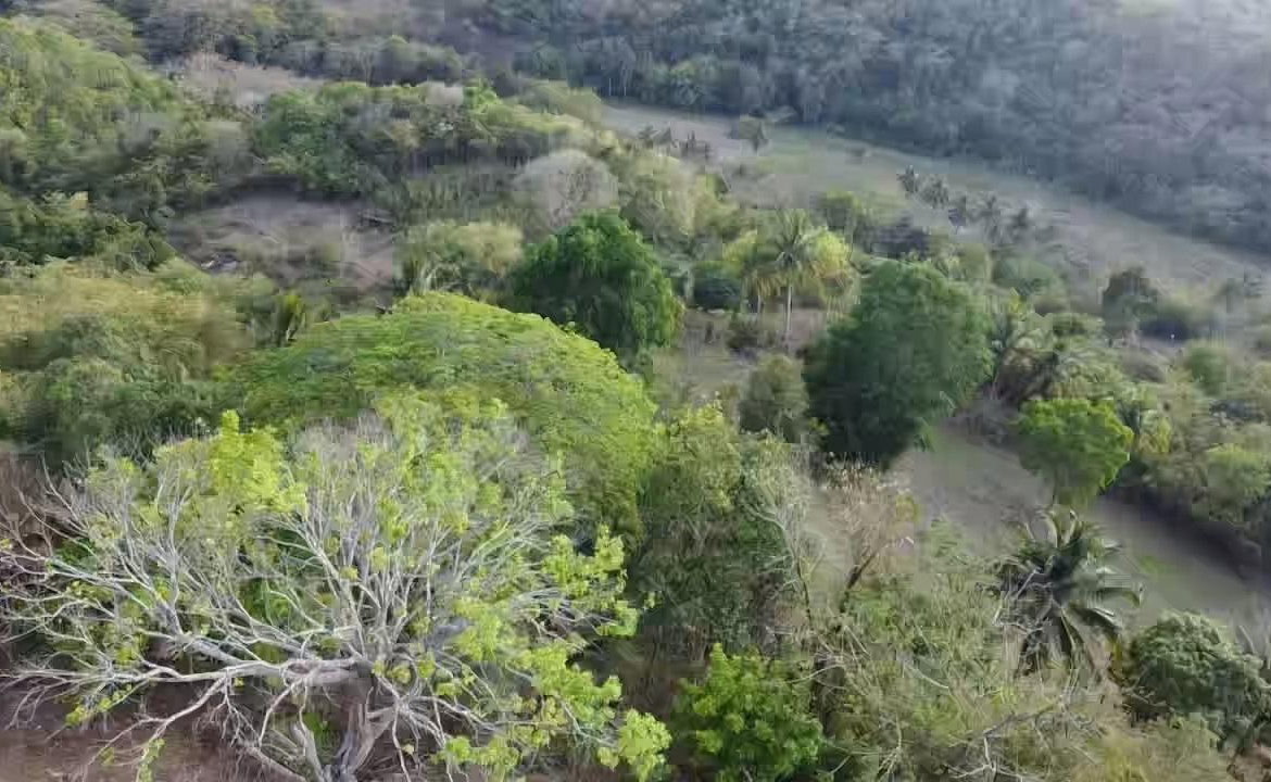 Fourteenth image of Rock River,retreat,claren in Rock River, Clarendon, Jamaica - property is For Sale