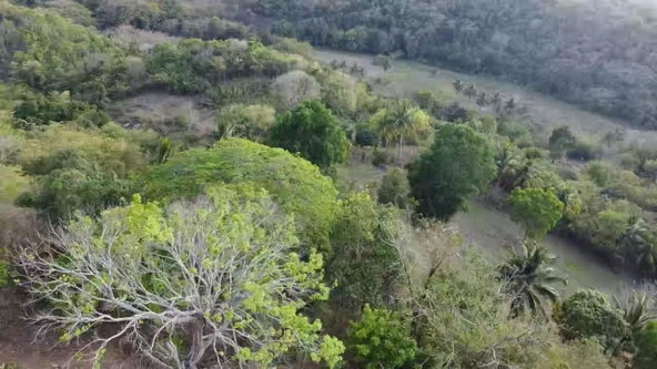 Fourteenth image of Rock River,retreat,claren in Rock River, Clarendon, Jamaica - property is For Sale