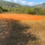 First image of Rock River,retreat,claren in Rock River, Clarendon, Jamaica - property is For Sale