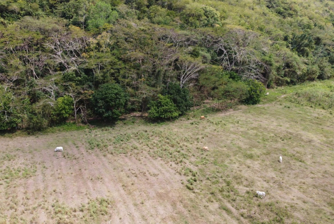 Eighteenth image of Rock River,retreat,claren in Rock River, Clarendon, Jamaica - property is For Sale