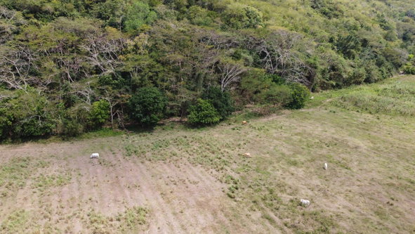 Eighteenth image of Rock River,retreat,claren in Rock River, Clarendon, Jamaica - property is For Sale