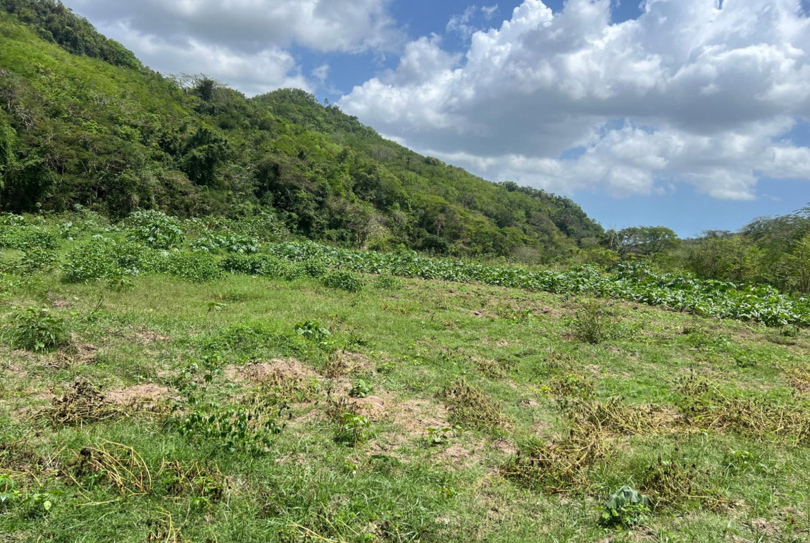 Twentieth image of Rock River,retreat,claren in Rock River, Clarendon, Jamaica - property is For Sale